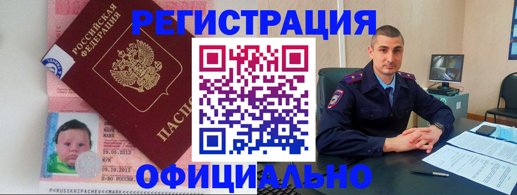 прописка поиск в Коле